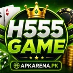 H555 Game
