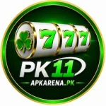 PK11 Game